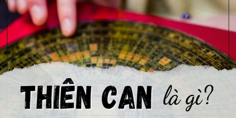 Địa Chi và Thiên Can phối hợp với Ngũ hành tạo ra các số đặc biệt